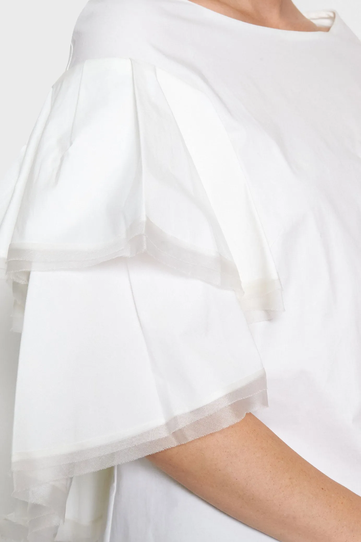 Ruffle Sleeve Blouse