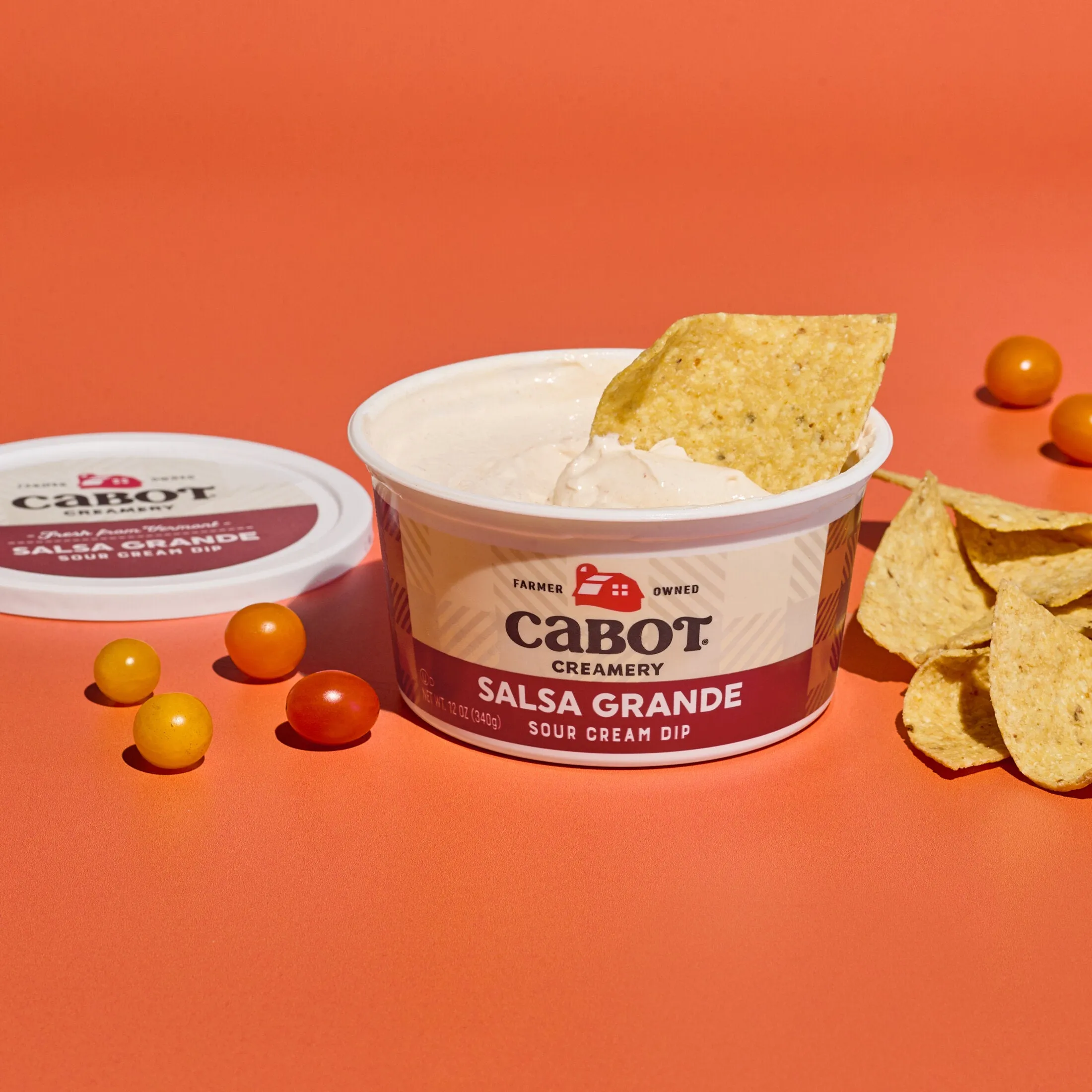 Salsa Grande Dip