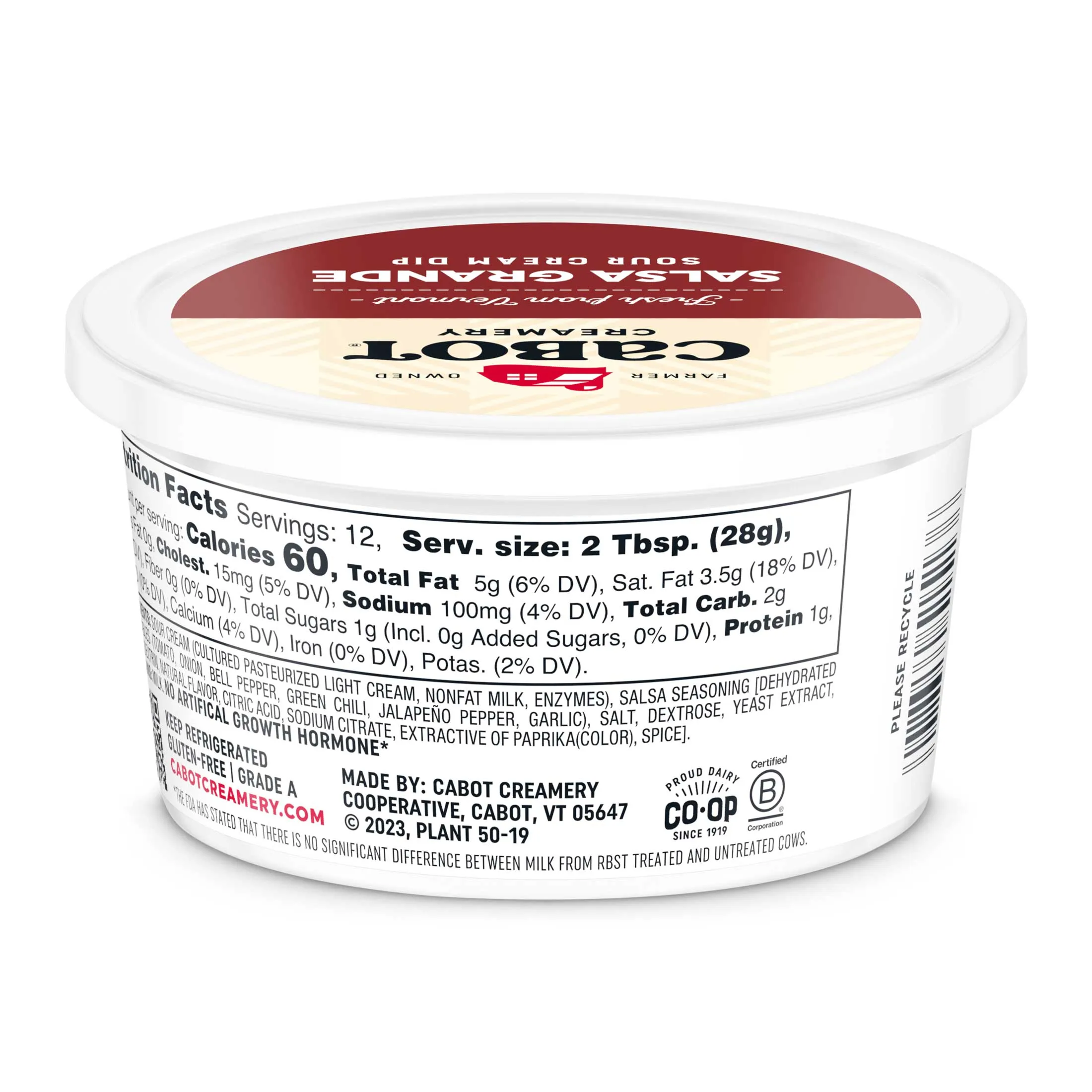 Salsa Grande Dip